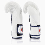 Guantoni Fairtex Mexican Style BGV9 Bianco-blu piping-Combat Arena