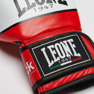Guantes de boxeo Leone Shock GN047