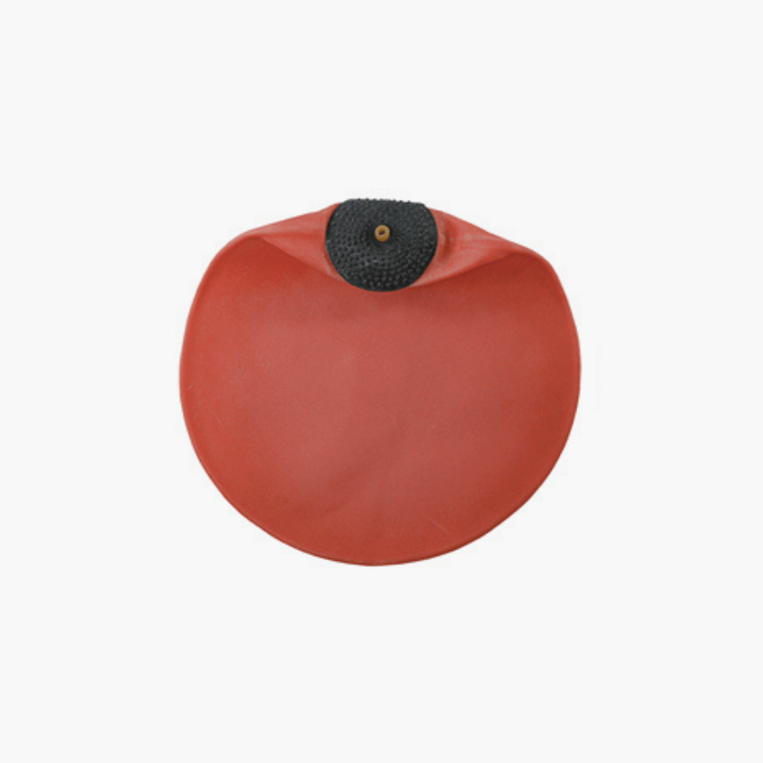 Ricambio Camera d'aria Palla tesa rotonda Cleto Reyes-Combat Arena