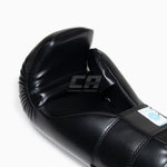 Guantes SAP Point Fighting WAKO Raptor Semi Contact
