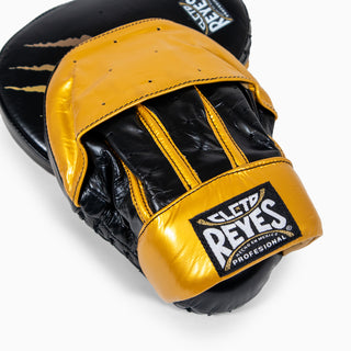 Manoplas de boxeo Cleto Reyes Tigre 