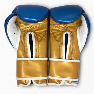 Guantoni Cleto Reyes Sparring CE6 Blu Zaffiro Oro-Combat Arena