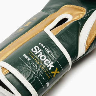 Guantes de boxeo Leone Shock X GN047X
