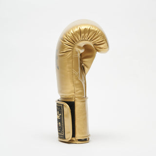 Guantoni Leone Sport Orlando Classico con velcro Oro-Combat Arena