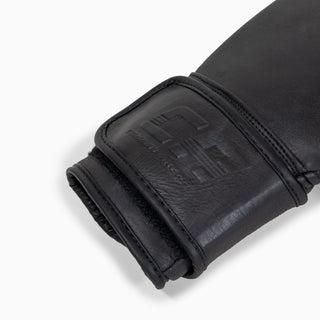 Guantes de boxeo Combat Arena Heritage 2.0 