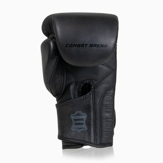 Guantes de boxeo Combat Arena Heritage 2.0 