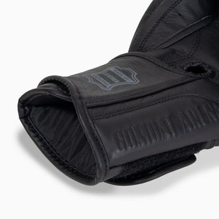Guantes de boxeo Combat Arena Heritage 2.0 