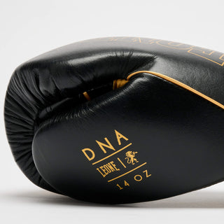 Guantes de boxeo Leone DNA Premium GN002 Negro 