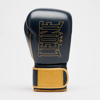 Guantes de boxeo Leone DNA Premium GN002 Azul 