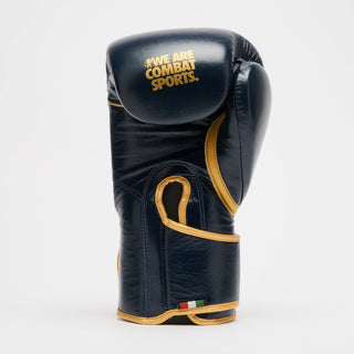 Guantes de boxeo Leone DNA Premium GN002 Azul 