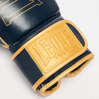 Guantes de boxeo Leone DNA Premium GN002 Azul 
