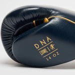 Guantes de boxeo Leone DNA Premium GN002 Azul 
