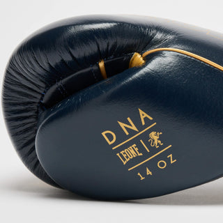 Guantes de boxeo Leone DNA Premium GN002 Azul 