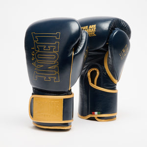Guantes de boxeo Leone DNA Premium GN002 Azul 