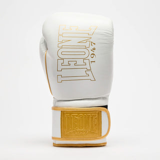 Guantes de boxeo Leone DNA Premium GN002 Blanco 