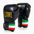 Guantes de boxeo Leone Italia GN039 