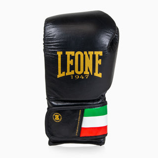 Guantes de boxeo Leone Italia GN039 