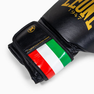 Guantes de boxeo Leone Italia GN039 
