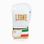 Guantes de boxeo Leone Italia GN039 