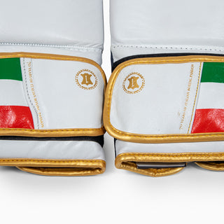 Guantes de boxeo Leone Italia GN039 