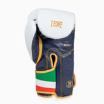 Guantes de boxeo Leone Italia GN039 