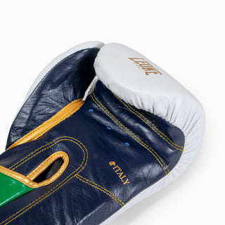 Guantes de boxeo Leone Italia GN039 