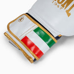 Guantes de boxeo Leone Italia GN039 