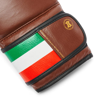 Guantes de boxeo Leone Italia GN039 