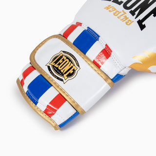 Guantes de boxeo Leone Thai Style GN114