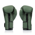 Guantes Muay Thai Fairtex BGV11 Día F 