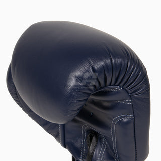 Guantes Muay Thai Twins Special BGVL3 Azul