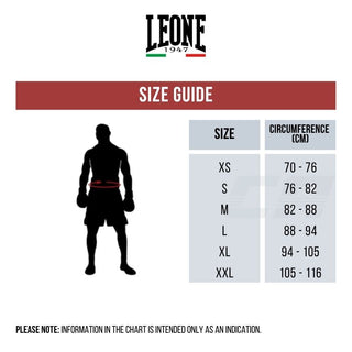 Pantalones de boxeo Leone Black Lion AB244 