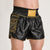 Pantalones cortos kick-tailandés Leone DNA Premium AB969 Negro 