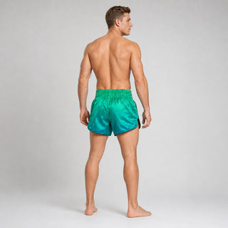 Pantalones kick-thai Fairtex BS1953 Quantum