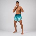 Pantalones kick-thai Fairtex BS1906 Fade Verde