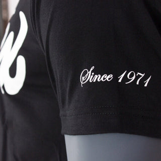 Camiseta Fairtex Logotipo clásico TST7